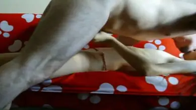 Kamar Bintang Lima ABG Bispak Jakarta Live